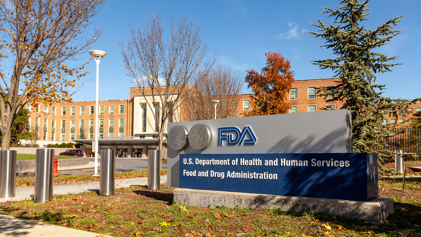 FDA Doles Out First Nine Vouchers for Priority Drug Review