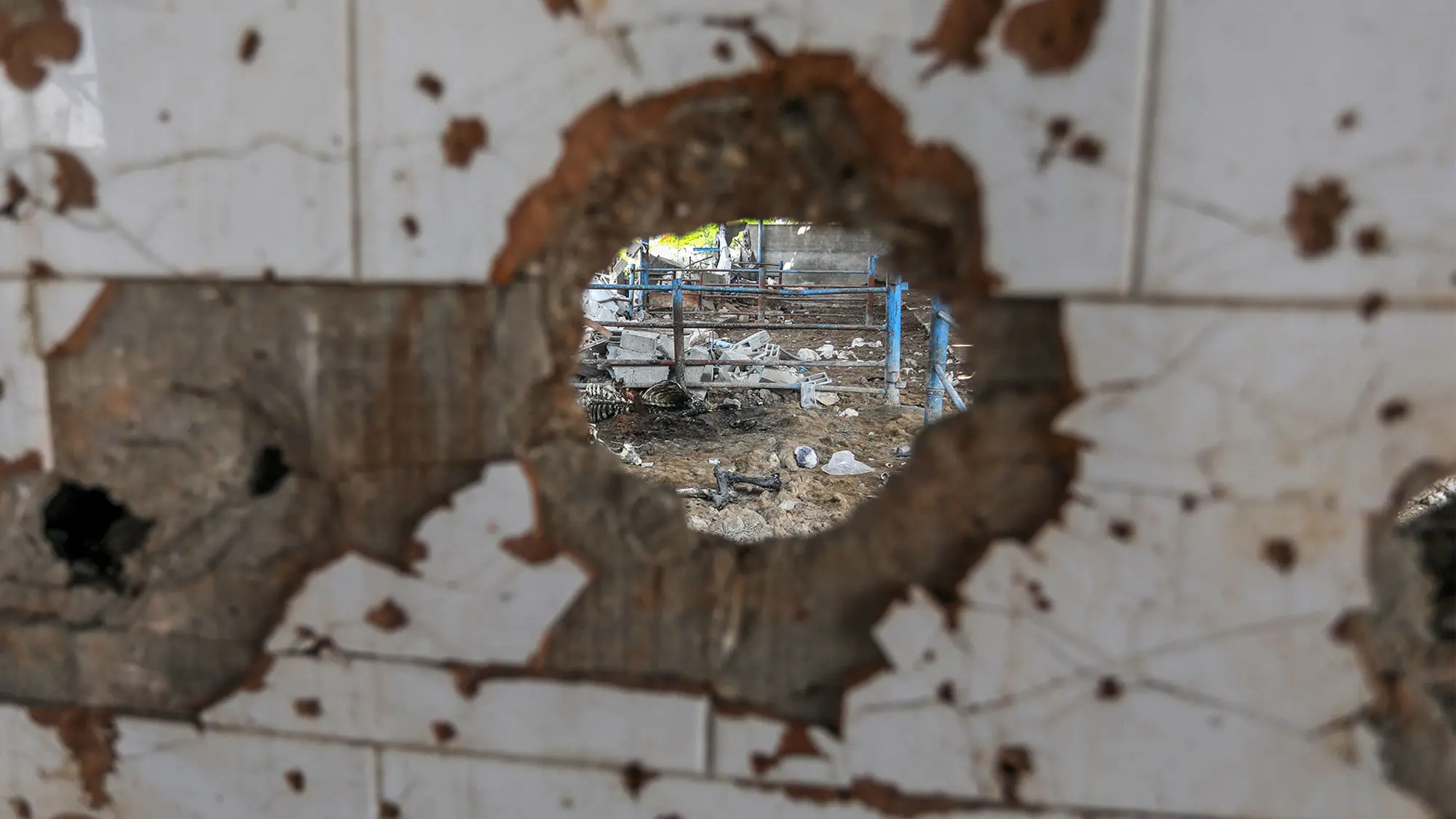 After years of war, Gaza faces an environmental crisis ‘above imagination’